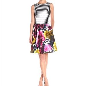 Taylor A-line floral and striped dress